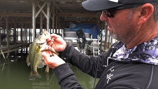 GMAN on Skipping Neko Rigs Under Docks for Bass [upl. by Aile]