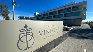 Hotel Vinifera Wine amp SpaFive Star Superior Luxury HotelHungary [upl. by Faires]