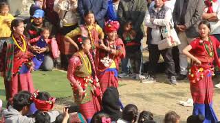 Sonam losar 2080 Tamang Cultural Nuwakot trisuli gonpa [upl. by Esorylime417]