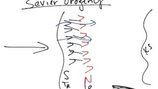 Historical Geology Mesozoic Sevier Orogeny [upl. by Friedlander]