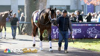 Breeders Cup Saturday preview Locks value picks and more  NBC Sports [upl. by Heyman]