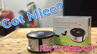 How to Get Rid of Mice FAST with This Cheap Solution 30 Off [upl. by Rhoads756]