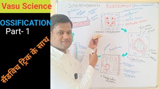 Skeletal system Intramembranous ossificationossification centerVasu ScienceFormation of bone [upl. by Anatnahs]