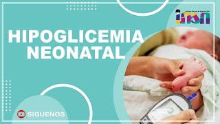 Hipoglicemia Neonatal  Telecapacitación INSN [upl. by Di]