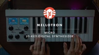 Mellotron Micro  Synthesizer  Vintage King [upl. by Oren417]