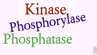 Kinase  Phosphorylase  Phosphatase  Biochemistry [upl. by Wawro]