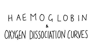 Haemoglobin amp Oxygen Dissociation Curves [upl. by Nifled]