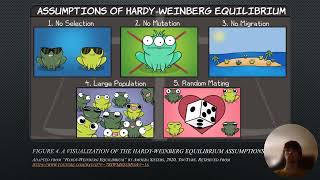 Applying Mathematics in Biology꞉ The Importance of the HardyWeinberg Principle Take 6 [upl. by Ahseena]