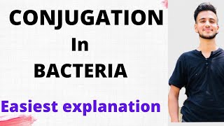 BACTERIAL CONJUGATION  CONJUGATION IN BACTERIA  Microbiology [upl. by Irotal]