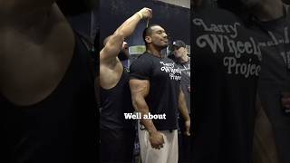 Asking Larry Wheels His Stats Then Measuring Him [upl. by Samot]