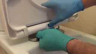 How to fix a loose toilet seat [upl. by Anaitit]