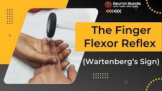 Wartenberg’s sign  Finger flexor reflex  babinski  upper limb reflex neurology medschool [upl. by Petronia]