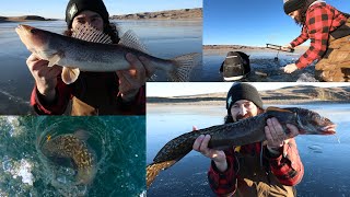 Ice Fishing Diefenbaker BAREBONES Electronics VERY Possible [upl. by Charlie]