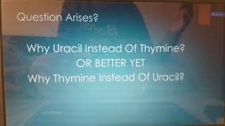 why Thaimine instead of Uracil in DNA  or why Uracil instead of Thaimine in RNA [upl. by Cairns829]