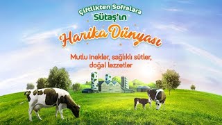 Çiftlikten Sofralara Sütaş’ın Harika Dünyası [upl. by Sackey]