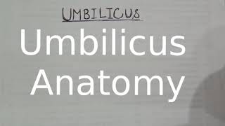 Umbilicus anatomy made easy [upl. by Abeu]