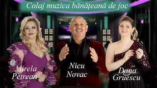 Colaj muzica din Banat 🎵 Mirela Petrean ✖️ Nicu Novac ✖️ Dana Gruescu 🎤 [upl. by Naerol859]