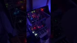 Modular synth evening jam modularsynth matriarch eurorack [upl. by Eanahs]