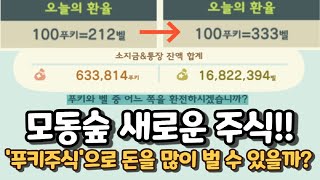 모동숲 무주식 말고 다른주식이 생겼네 신규업데이트 푸키주식으로 벨을 많이 벌 수 있을까 실험 [upl. by Aleel822]