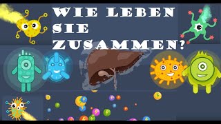 🤢Gute und schlechte Bakterien😇😈 Wie leben sie zusammen [upl. by Funda]