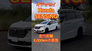 【オデッセイ】Honda SENSINGを5000km走行した実績から感想を伝えます！ワイドビューカメラ、ソナーセンサー、レーダー探知、ACC、LKASについても触れています。新型オデッセイ [upl. by Ocsirf]