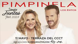 Pimpinela Siempre Juntos Tour 2024 [upl. by Neraa]