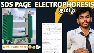 SDS PAGEtamilpolyacrylamide gel electrophoresisNotesDefinitionprincipleProcedureworkinguses [upl. by Pelletier463]