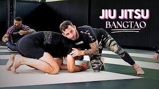 WEEKLY RECAP  Bangtao Jiu Jitsu  BJJ  Alex Schild [upl. by Yddet]