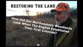 What did the Northeastern Woodlands Look Like Before the English [upl. by Dunning354]