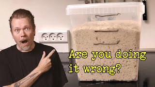 Are you fermenting sourdough bread wrong  Fermentation Masterclass [upl. by Macpherson840]