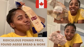 LIFE in CANADA as a NEW IMMIGRANT  NEW FINDS FOOD EXPLORATION DELIVERIES  TOLULOPE SOLUTIONS [upl. by Horst]