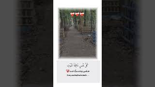 Insaallah Im ready for death amp you viralshort viralvideo foryou death islam love ytshort [upl. by Aizatsana]