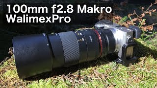 Walimex Pro 100mm f28 Macro  Review Deutsch [upl. by Eesdnyl]