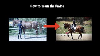 How to Train the Piaffe [upl. by Remle37]