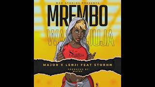 Major Mad X Lenji ft storhn yril  Mrembo wa jujaProd By Watee keepitmad [upl. by Recor572]