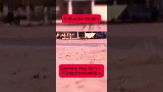 Nahuales Reales Captados en Cámara 45 nahuales nahualismo terror KoK [upl. by Kama729]