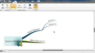 iMindMap 6  Branch Pinning [upl. by Sofko]