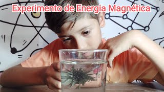 Como Hacer Experimento con Agua y Polvo de Hierro para Jugar a la Energía Magnética [upl. by Solis]