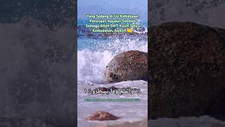 Jumat Berkah  Surah Al Qalam 16 Merdu  Thaha Al Junayd  shortvideo shorts short [upl. by Eiramadnil]