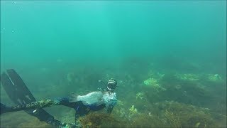 South West Spearheads spearfishing Southern Western Australia [upl. by Dupin]