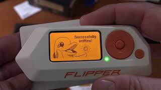 Is The Flipper Zero Useful For Anything [upl. by Roberto602]