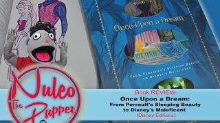 Once Upon A Dream  From Perraults Sleeping Beauty to Disneys Maleficent Review [upl. by Ardnala]