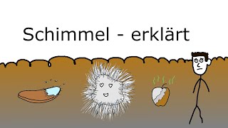 Schimmel  erklärt [upl. by Grogan]