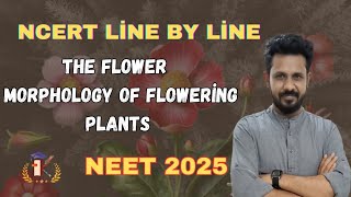 The flower Morphology of flowering plants in tamil ll NCERT biology 2025neet [upl. by Marella]