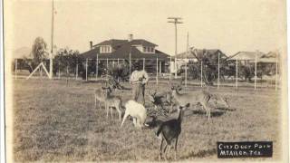 History of McAllen 19111920 [upl. by Anib197]