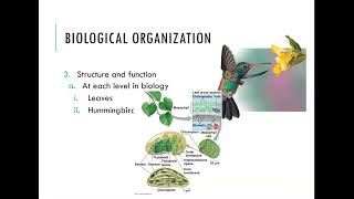 Biology 101 Chapter 1 Part 2 Reductionism [upl. by Lenoyl]