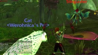 World Of Warcraft Quest Info Stinglasher [upl. by Esina]