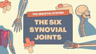 The Skeletal System 6 Synovial Joints in Human Body Science Learning Video [upl. by Zorana]