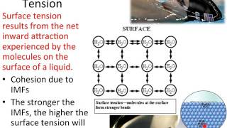 Properties and Intermolecular Forces [upl. by Meijer]