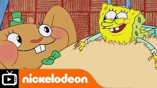 SpongeBob SquarePants  Cuddly Hugs  Nickelodeon UK [upl. by Ydnab106]